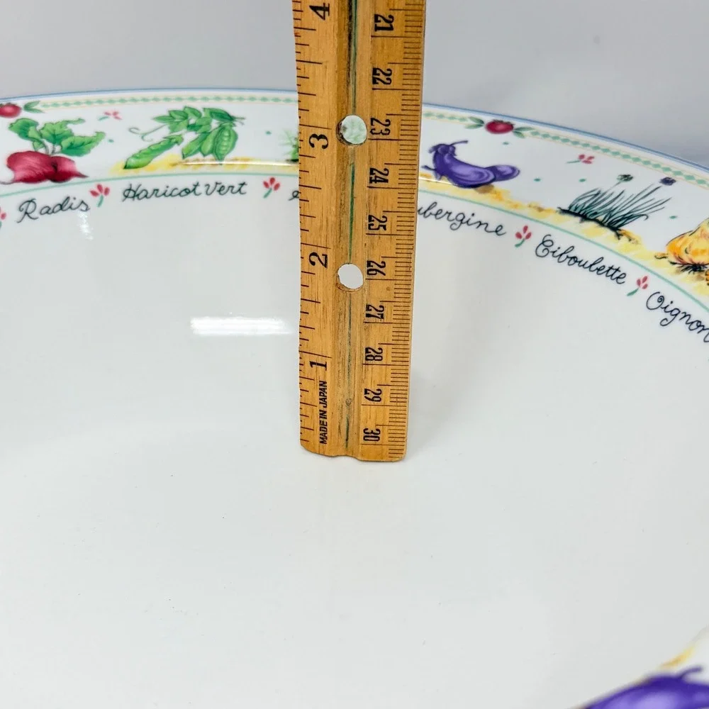 Mikasa Garden Lane DX012 Pasta Bowl  11.5 Inch